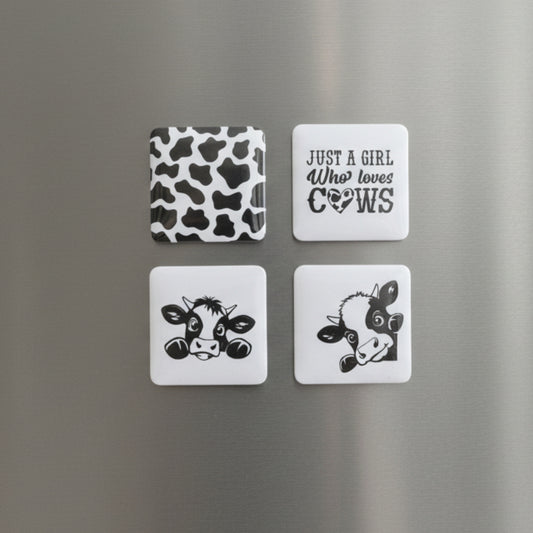 4 Pack Magnets